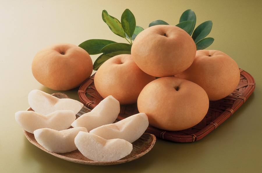 縲仙郁。御コ育エ縲大イ。螻ア逵檎肇縲譌ャ縺ョ縺上□繧ゅョ螳壽悄萓ソ縲シ灘屓