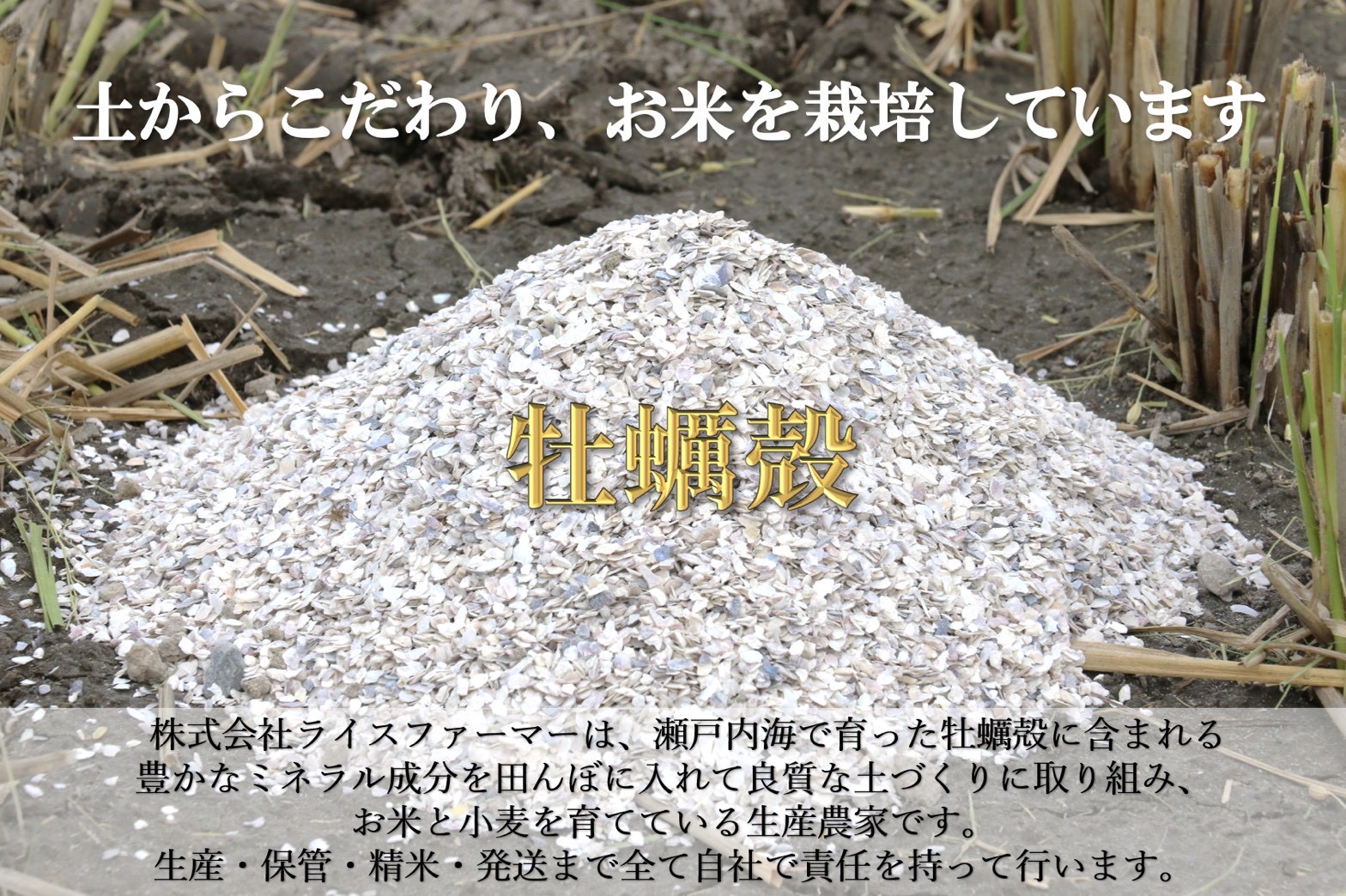 【お米　特別栽培米　特Aランク】岡山県産「きぬむすめ」10kg（令和7年産）
