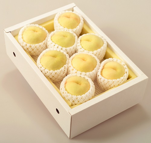 ãå
è¡äºçŽã岡山çç£ãå²¡å±±çœæ¡ïŒïœïŒïŒçïŒçŽ2.0ãïŒ