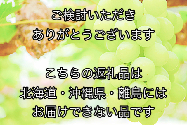 【令和7年発送・先行予約】フルーツ定期便　全３回コースA