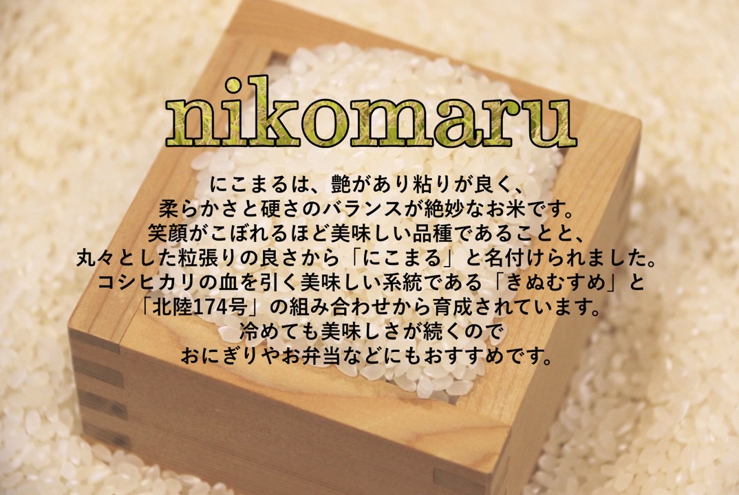【お米　特別栽培米】岡山県産「にこまる」10kg（令和7年産）
