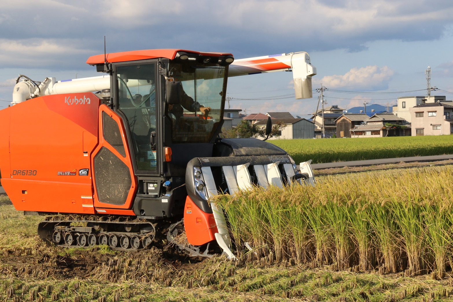 【お米　特別栽培米】岡山県産「にこまる」5kg（令和7年産）