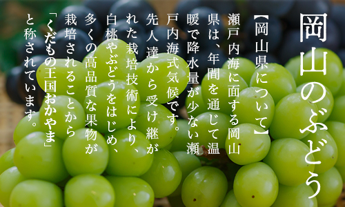 【令和7年発送・先行予約】岡山県産　シャインマスカット(700g以上・晴王)1房　化粧箱入り