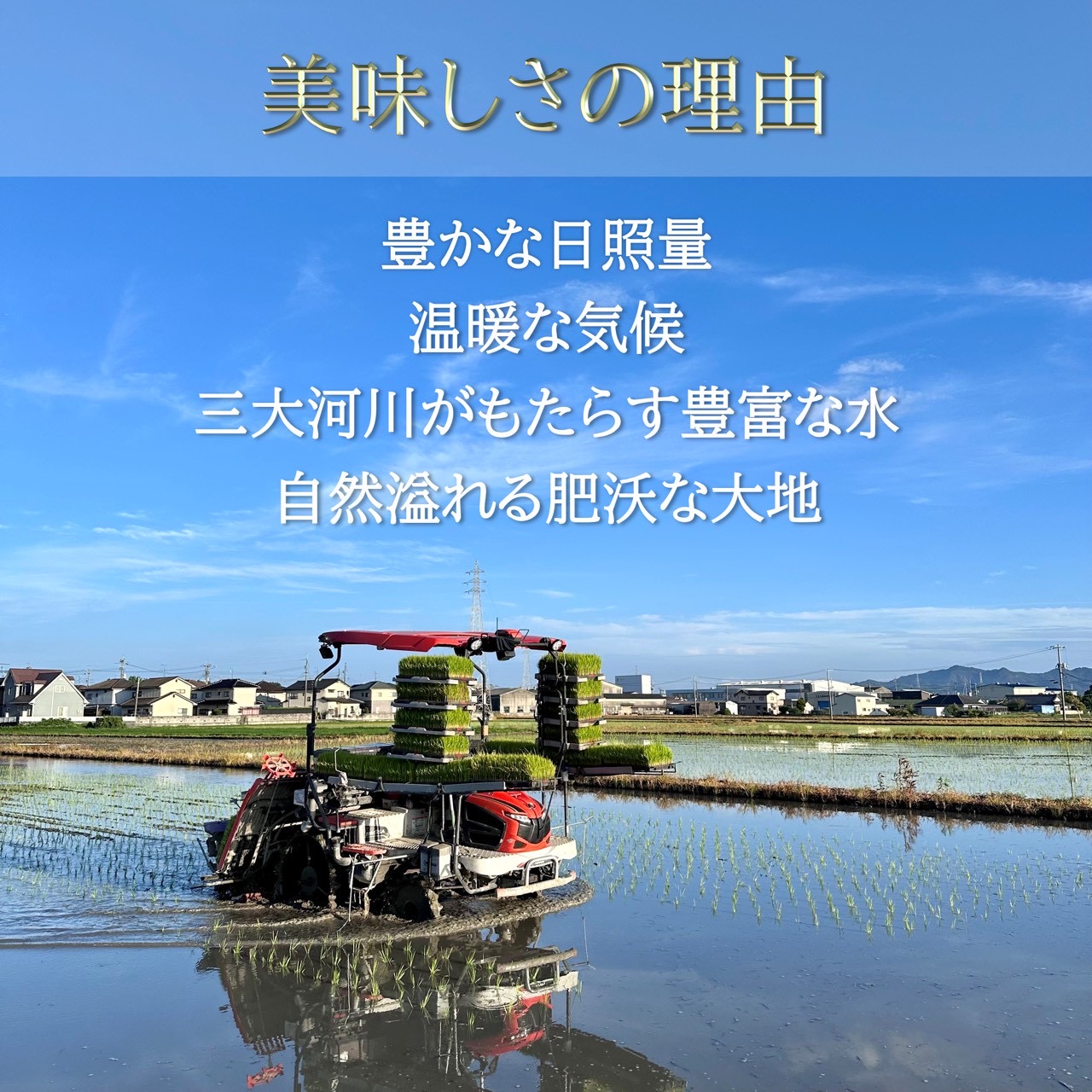 【お米　特別栽培米　特Aランク】岡山県産「きぬむすめ」5kg（令和7年産）
