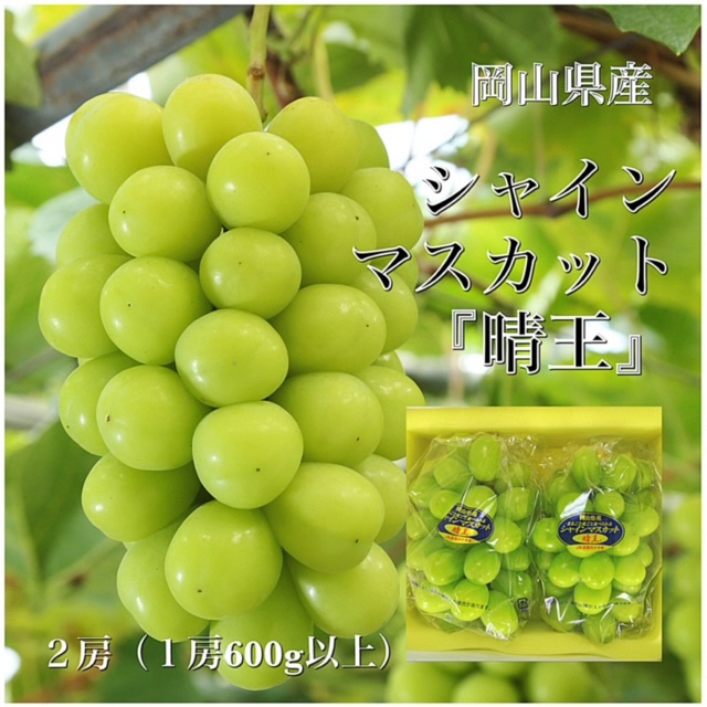 【令和7年発送・先行予約】岡山県産　シャインマスカット（1房600g以上・晴王）2房　化粧箱入り