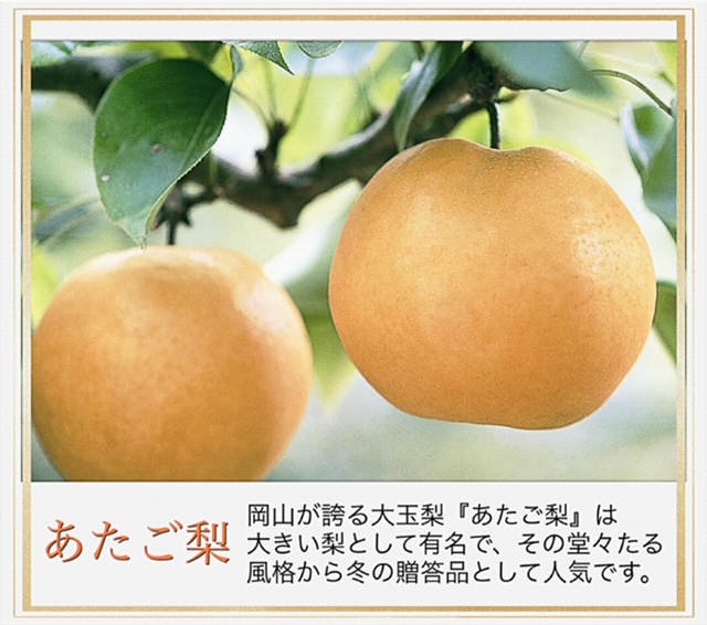 【令和６年発送・先行予約】岡山県産　果物と新米の定期便　全６回コースA