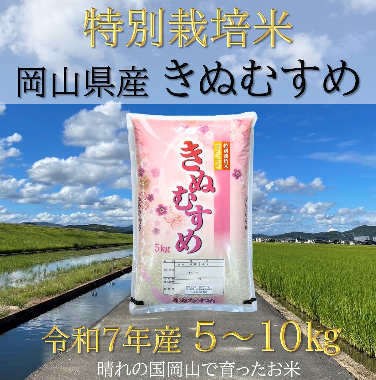 【お米　特別栽培米　特Aランク】岡山県産「きぬむすめ」5kg（令和7年産）