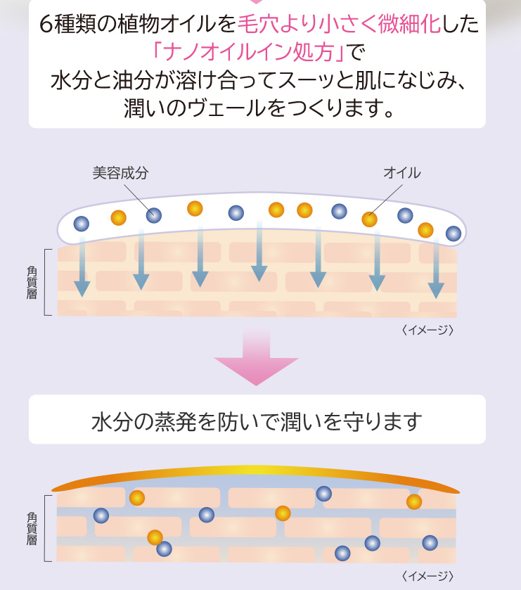 たかの友梨　エステファクト　エンリッチローション　200ml