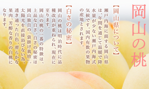 【令和7年発送・先行予約】岡山県産　白桃8玉（合計1.7kg以上）　化粧箱入り