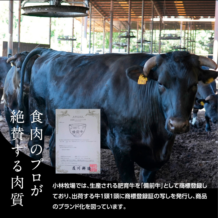 牛肉　備前牛（黒毛牛）焼肉セット　600g