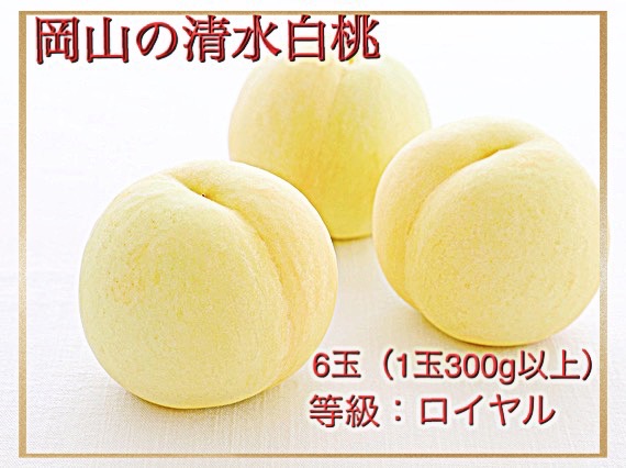 【令和7年発送・先行予約】岡山県産　清水白桃（1玉300ｇ以上）6玉　等級：ロイヤル　化粧箱入り