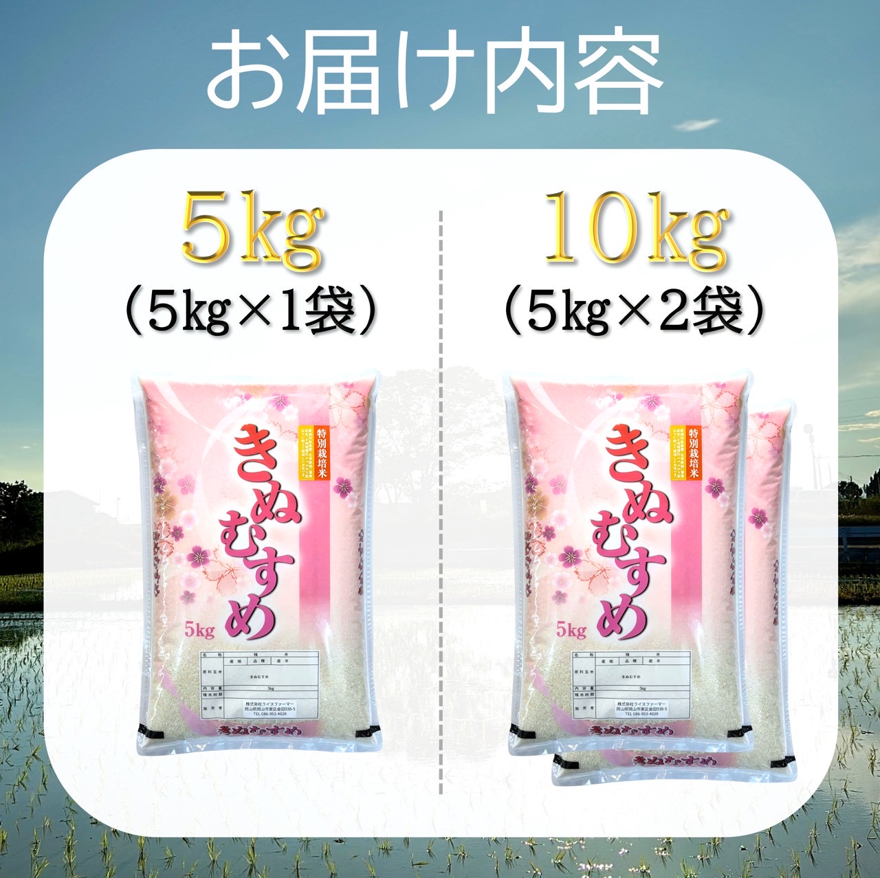 【お米　特別栽培米　特Aランク】岡山県産「きぬむすめ」5kg（令和7年産）