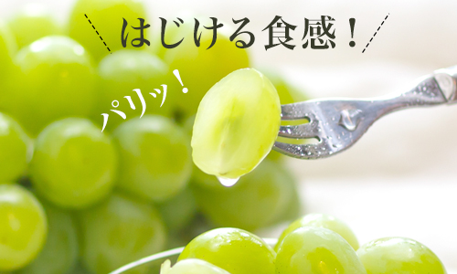 【令和7年発送・先行予約】岡山県産　マスカットオブアレキサンドリア（700g以上・秀品以上）1房　化粧箱入り