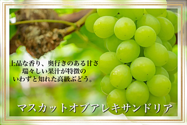 【令和６年発送・先行予約】岡山県産　果物と新米の定期便　全３回コースC