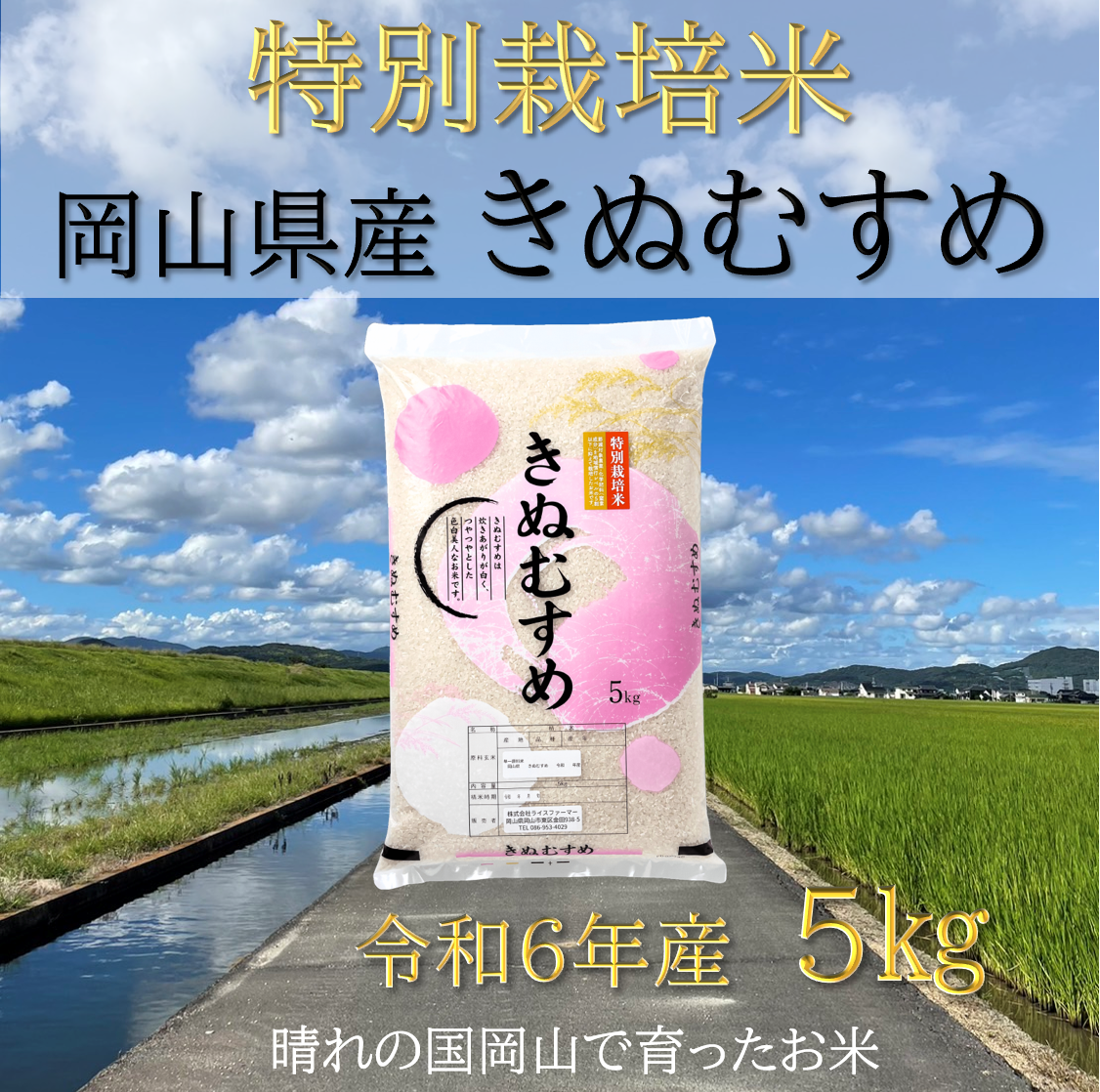 【お米　特別栽培米　特Aランク】岡山県産「きぬむすめ」5kg（令和6年産）