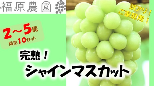 岡山のあまーい「シャインマスカット（ご家庭用）」　2～5房