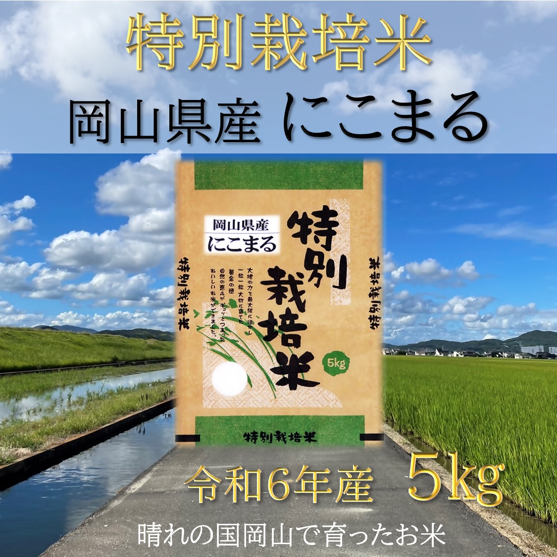 【お米　特別栽培米　特Aランク】岡山県産「にこまる」5kg（令和6年産）