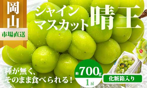 【令和7年発送・先行予約】岡山県産　シャインマスカット(700g以上・晴王)1房　化粧箱入り