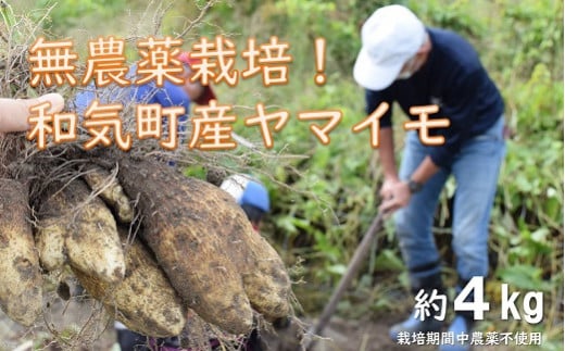 和気町産無農薬栽培　山芋4kg