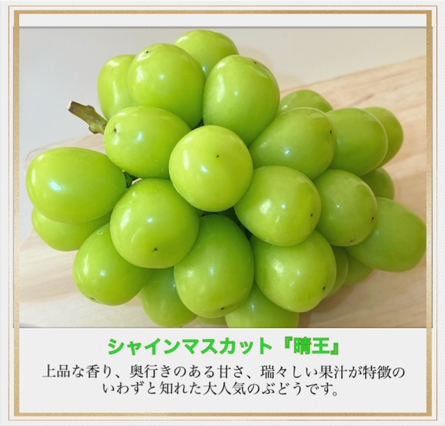 【令和６年発送・先行予約】岡山県産　果物と新米の定期便　全６回コースA