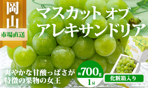 【令和7年発送・先行予約】岡山県産　マスカットオブアレキサンドリア（700g以上・秀品以上）1房　化粧箱入り