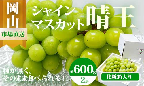 【令和7年発送・先行予約】岡山県産　シャインマスカット（1房600g以上・晴王）2房　化粧箱入り