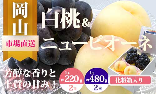 【令和7年発送・先行予約】岡山県産　詰合/白桃（１玉220g以上）2玉・ニューピオーネ（480g以上）2房　化粧箱入り