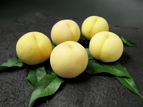【令和6年発送】岡山県産　清水白桃　5～7玉（約1.5kg）