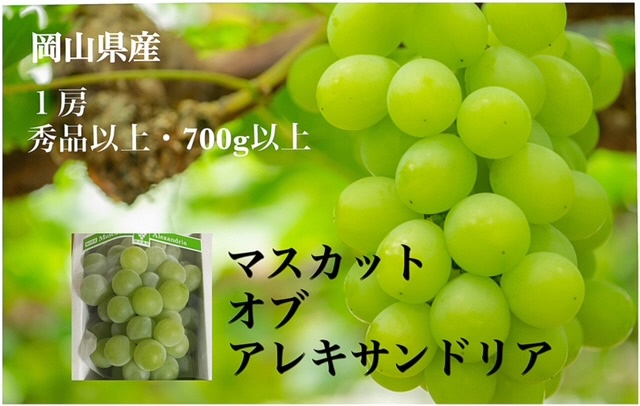 【令和7年発送・先行予約】岡山県産　マスカットオブアレキサンドリア（700g以上・秀品以上）1房　化粧箱入り