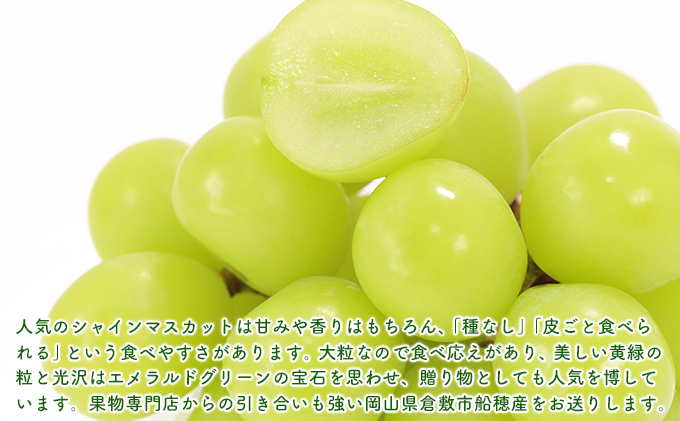 【2025年先行予約】 ぶどう 岡山県産 シャインマスカット 晴王 厳選 1房 約700g 大房 岡山県 倉敷市 船穂産 《2025年6月中旬-7月上旬頃出荷》 葡萄 ブドウ フルーツ 果物 スイーツ 数量限定 期間限定 里庄町