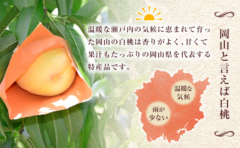 【2025年先行予約】 桃 岡山県産 加納岩 白桃 約1.5kg（5～7玉） 《2025年6月下旬-7月上旬頃出荷》  白桃 岡山 はくとう スイーツ フルーツ 果物 先行予約 数量限定 期間限定 岡山 里庄町 モモ もも 桃