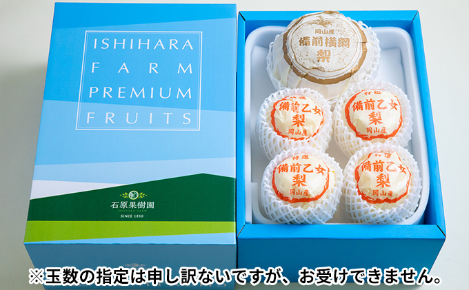 梨 2025年 先行予約 備前横綱梨（あたご梨）1玉 (1～1.4kg)・備前乙女梨（鴨梨） 3～5玉 詰合せ 合計約3.0kg 岡山県産 フルーツ ギフト 石原果樹園