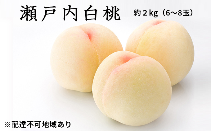 ●先行予約●岡山県産 瀬戸内 白桃 約2kg（6～8玉）