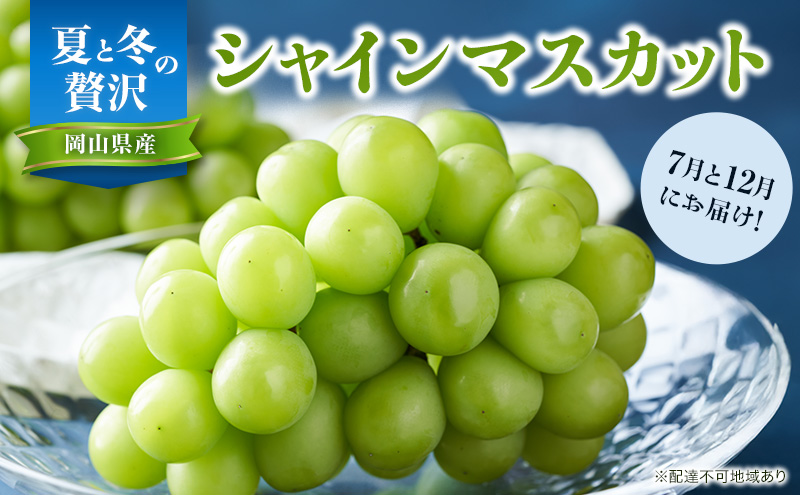 【2026年先行予約】 ぶどう 夏と冬の 贅沢 シャインマスカット 7月と12月に分けて お届け ！ 葡萄 ブドウ 岡山県産 フルーツ 果物 数量限定 期間限定 岡山 里庄町