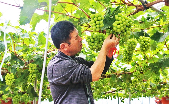 縲2026蟷エ蜈郁。御コ育エ縲 縺カ縺ゥ縺 螟上→蜀ャ縺ョ 雍豐「 繧キ繝」繧、繝ウ繝槭せ繧ォ繝繝 7譛医→12譛医↓蛻縺代※ 縺雁ア翫¢ シ 闡。關 繝悶ラ繧ヲ 蟯。螻ア逵檎肇 繝輔Ν繝シ繝 譫懃黄 謨ー驥城剞螳 譛滄俣髯仙ョ 蟯。螻ア 驥悟コ逕コ