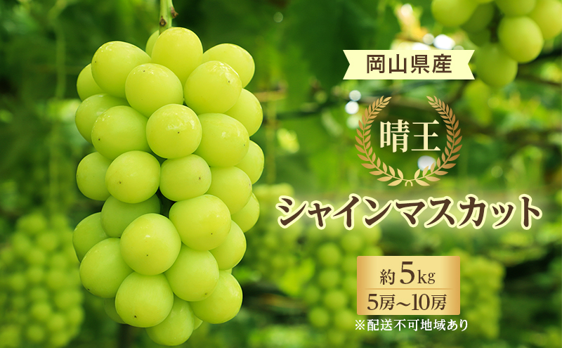 ぶどう 2024年 先行予約 シャイン マスカット 晴王 5房～10房 約5kg 7月中旬～8月中旬発送 ブドウ 葡萄  岡山県産 国産 フルーツ 果物 ギフト