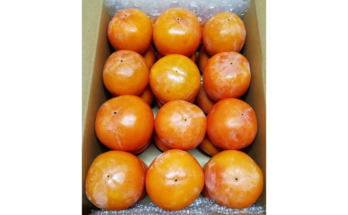 仁科農園産 富有柿（秀、中～大）6kg箱（25個前後入り）
