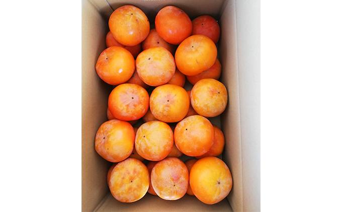 仁科農園産 富有柿(レギュラー、中)  ６kg箱(30～35個前後入り)
