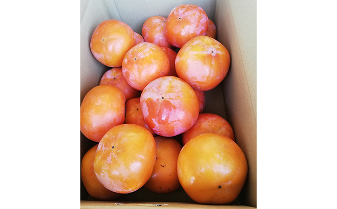 仁科農園産 富有柿（秀、大）秋の味覚「里山長寿」6kg箱（20個前後入り）