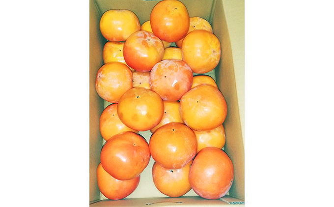 仁科農園産 富有柿（秀、大）秋の味覚「里山長寿」6kg箱（20個前後入り）