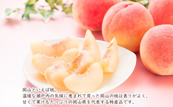 桃 2024年 先行予約 あかつき 約1.5kg（5～7玉） 岡山県 フルーツ もも 桃 モモ ピーチ 人気 新鮮 フルーツ 桃 デザート フルーツ もも 桃 モモ ギフト くだもの 桃 もも 果物 フルーツ 桃 もも