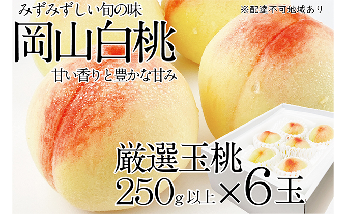 桃 2024年 先行予約 岡山の白桃 250g以上×6玉 白桃 旬 みずみずしい 晴れの国 おかやま 岡山県産 フルーツ王国 果物王国