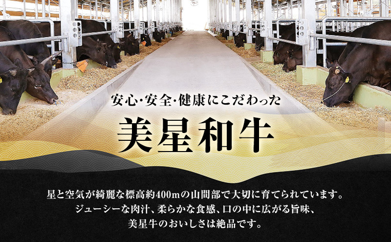 美星和牛 サーロインステーキ 約800g（約200g×4枚） 牛肉 岡山県 里庄町 送料無料