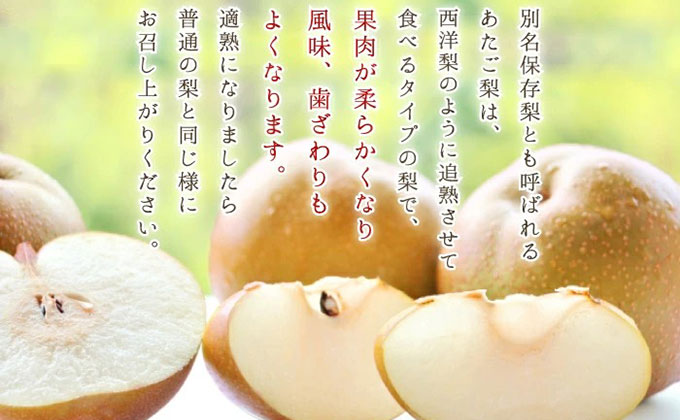 梨 あたご梨 2玉 約1.8kg なし ナシ  岡山県産 国産 フルーツ 果物 ギフト