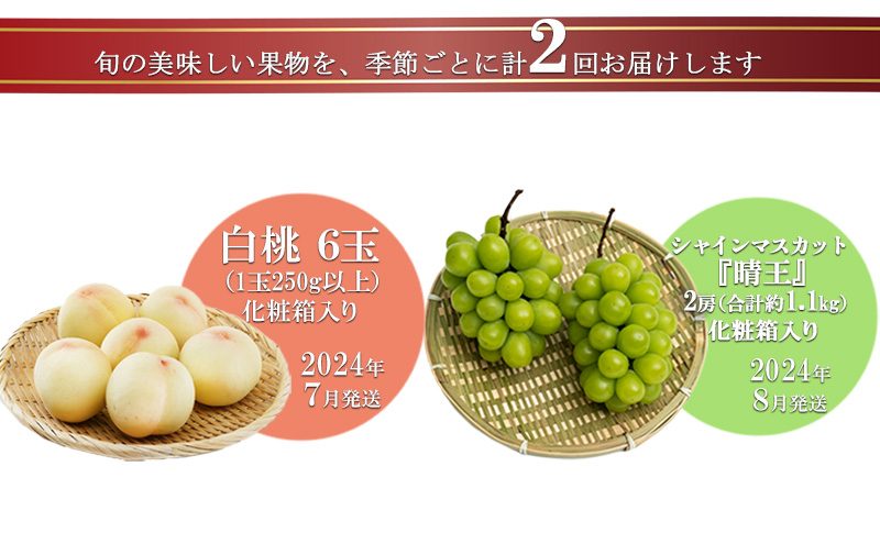 フルーツ 2024年 先行予約 晴れの国 岡山 の フルーツ 定期便 2回コース 桃 ぶどう 岡山県産 国産 フルーツ 果物 ギフト 旬のフルーツ 白桃 シャインマスカット 高級ぶどう 上品 