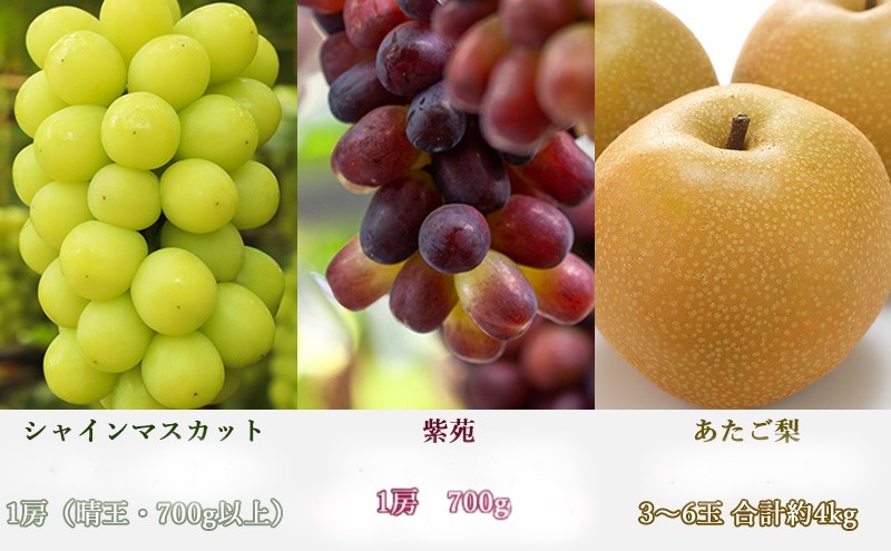 æ¡ ã¶ã©ã 梚 å®æäŸ¿ 2026幎 å
è¡äºçŽ æŽãã®åœ 岡山 ã® ãã«ãŒã å®æäŸ¿ 6åã³ãŒã¹ ãã è¡è ãªã 岡山çç£ åœç£ ã»ãã ã®ãã çœæ¡ ã¢ã¬ããµã³ããªã¢ ãã¥ãŒããªãŒã ã·ã£ã€ã³ãã¹ã«ãã ãããæ¢š