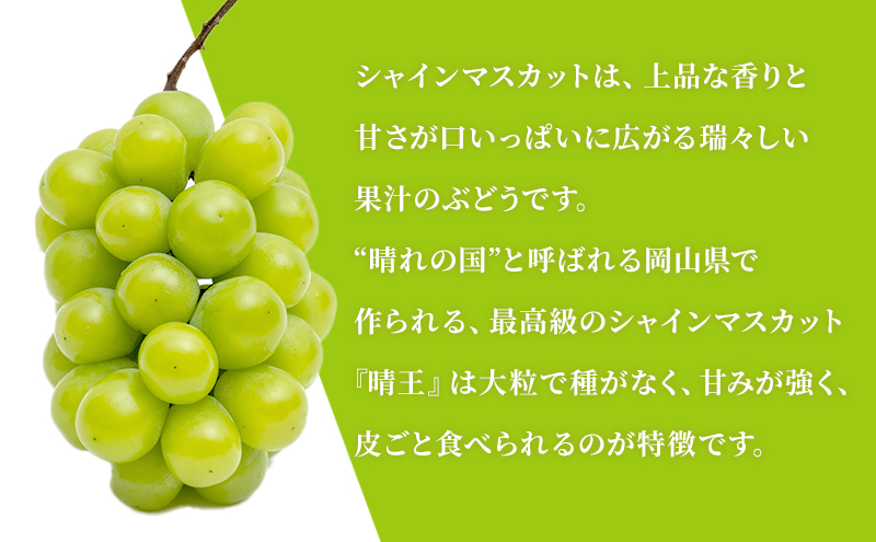 ぶどう 2024年 先行予約 晴れの国 岡山の シャイン マスカット 晴王 定期便 2回（各1房600g以上） 葡萄  岡山県産 国産 フルーツ 果物 ギフト