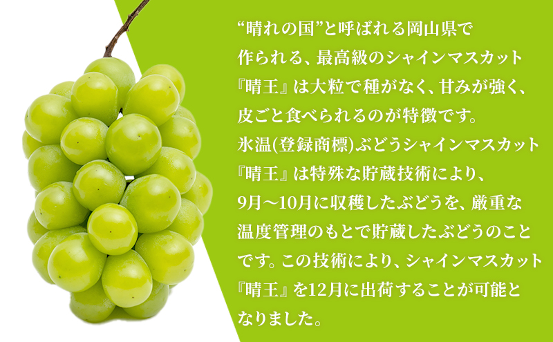 ぶどう 2024年 先行予約 3回お届け！  晴れの国 岡山の シャイン マスカット  晴王 ×3回！（各1房） 葡萄  岡山県産 国産 フルーツ 果物 ギフト
