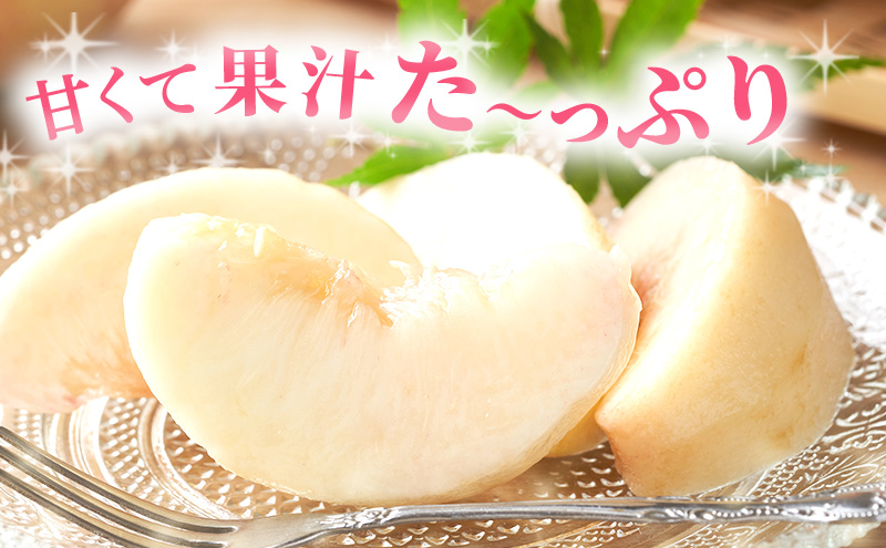 【 2026年 先行予約】 桃 岡山県産 白麗 （ 白桃 ） 約1.5kg （4～6玉） 《2026年7月下旬-8月中旬頃出荷》 白桃 岡山 はくとう スイーツ フルーツ 果物 先行予約 数量限定 期間限定 岡山 里庄町 モモ もも 桃 