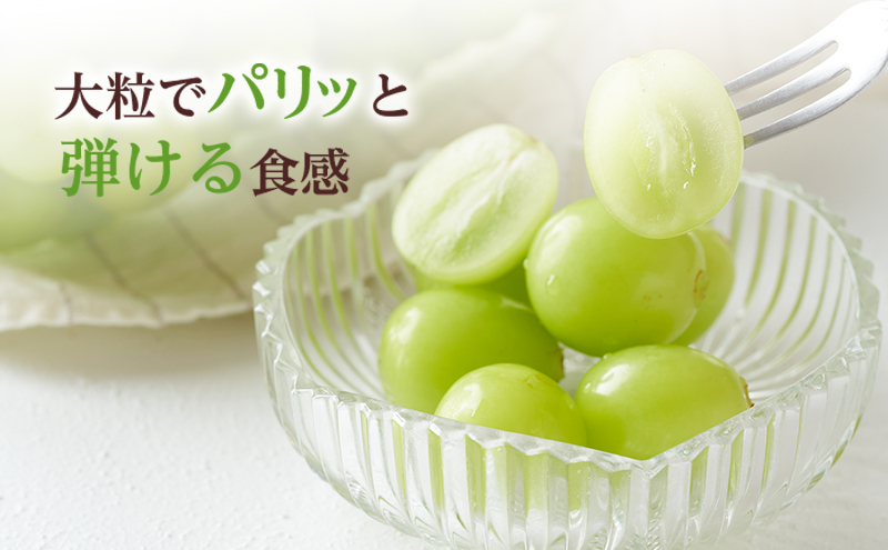 ぶどう 2024年 先行予約 シャイン マスカット 晴王 3房～6房 約1.5kg 8月下旬～10月下旬発送 ブドウ 葡萄  岡山県産 国産 フルーツ 果物 ギフト